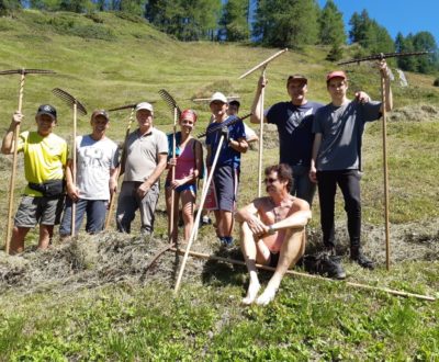 Erntehelfer in Südtirol, Erholung in der Natur, Sinnvoller Urlaub