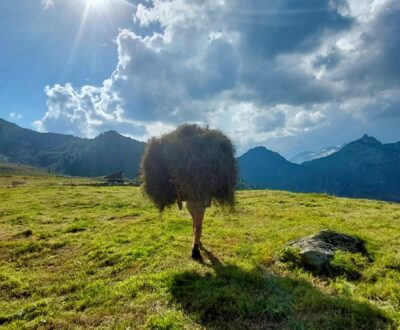 Leben auf der Alm,Almsommer,Heutrage,Sennerin